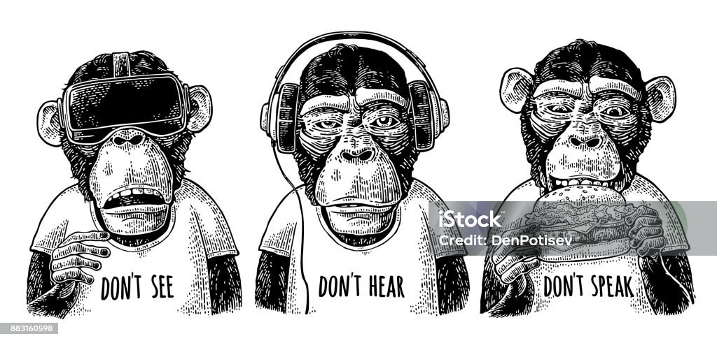 Tre scimmie sagge. Non vedere, non sentire, non parlare. Incisione vintage - arte vettoriale royalty-free di Scimmia