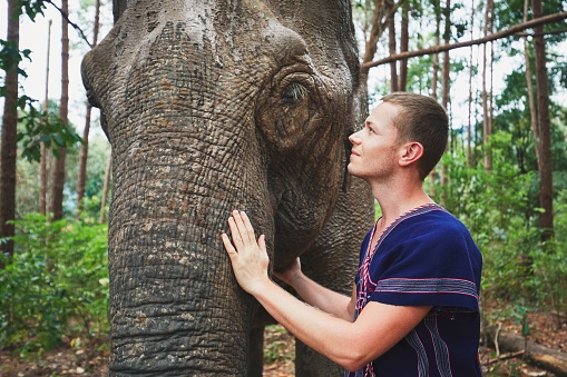 Face to face. Young traveler with friendly elephant in tropical rainforest in Chiang Mai Province, Thailand.