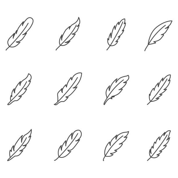 feather icon-set - feder stock-grafiken, -clipart, -cartoons und -symbole