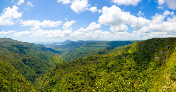 istock Black River Gorges National park panoramic landscape 883180702