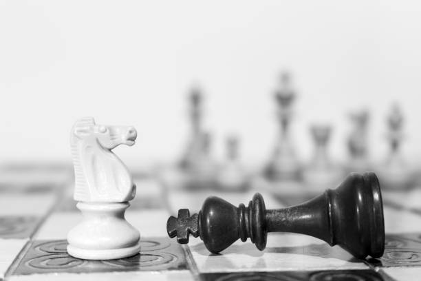 Chess photographed on a chessboard