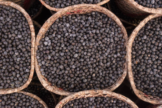 istock Acai berry,  the small superfruit from the brazilian amazon, displayed in baskets 883203410
