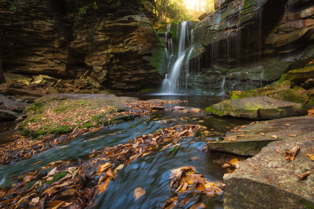 istock Fall leaves in the water at Elakala Falls 883218594