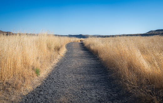 A pathway to a hiking trail in Palouse Falls State Park.