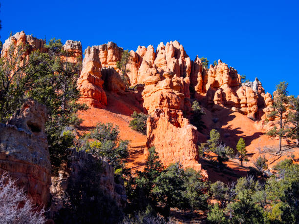 istock Red Canyon in Utah - amazing landscape 883228042