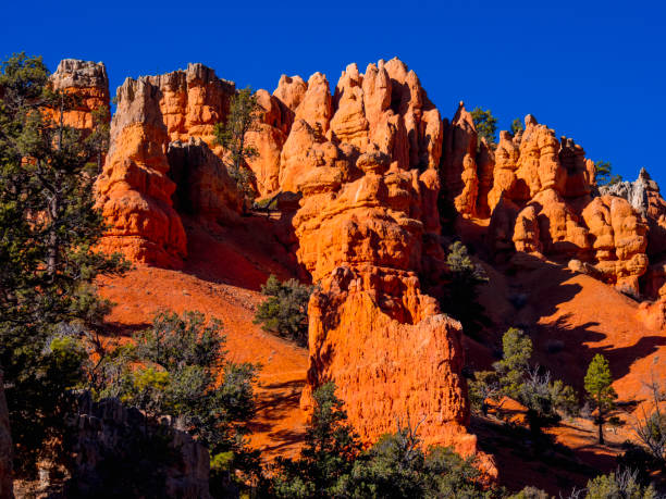 istock Red Canyon in Utah - amazing landscape 883228418