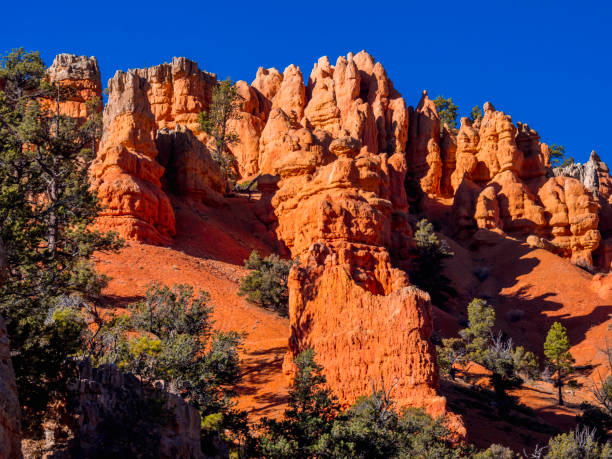 istock Red Canyon in Utah - amazing landscape 883228700