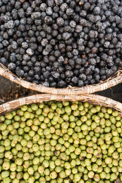 Photo of Acai berry and white acai, the small superfruit from the brazilian amazon