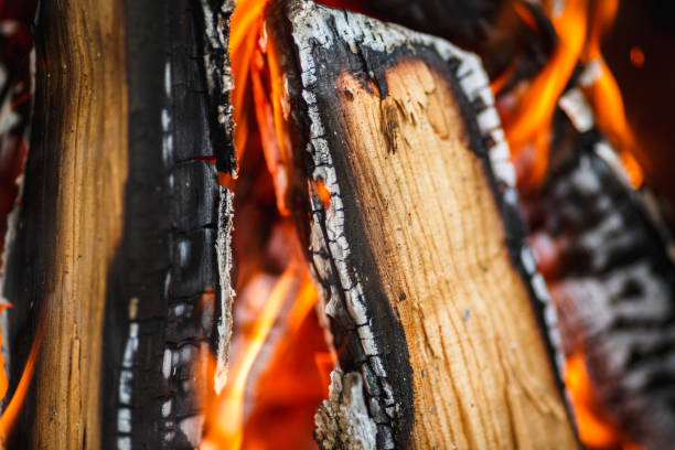 istock hot charred firewood in a fire 883248008