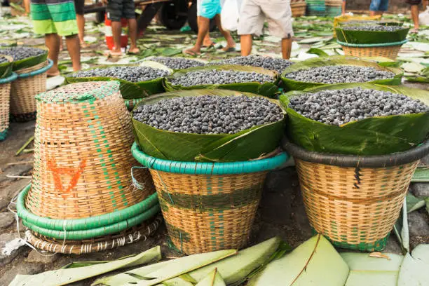 Photo of Acai berry,  the small superfruit from the brazilian amazon, displayed in baskets