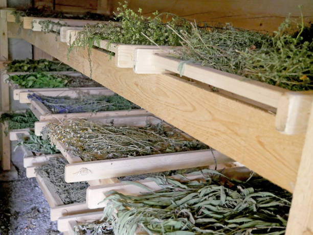 istock Traditional dryer for drying herbs and spices. 883261218