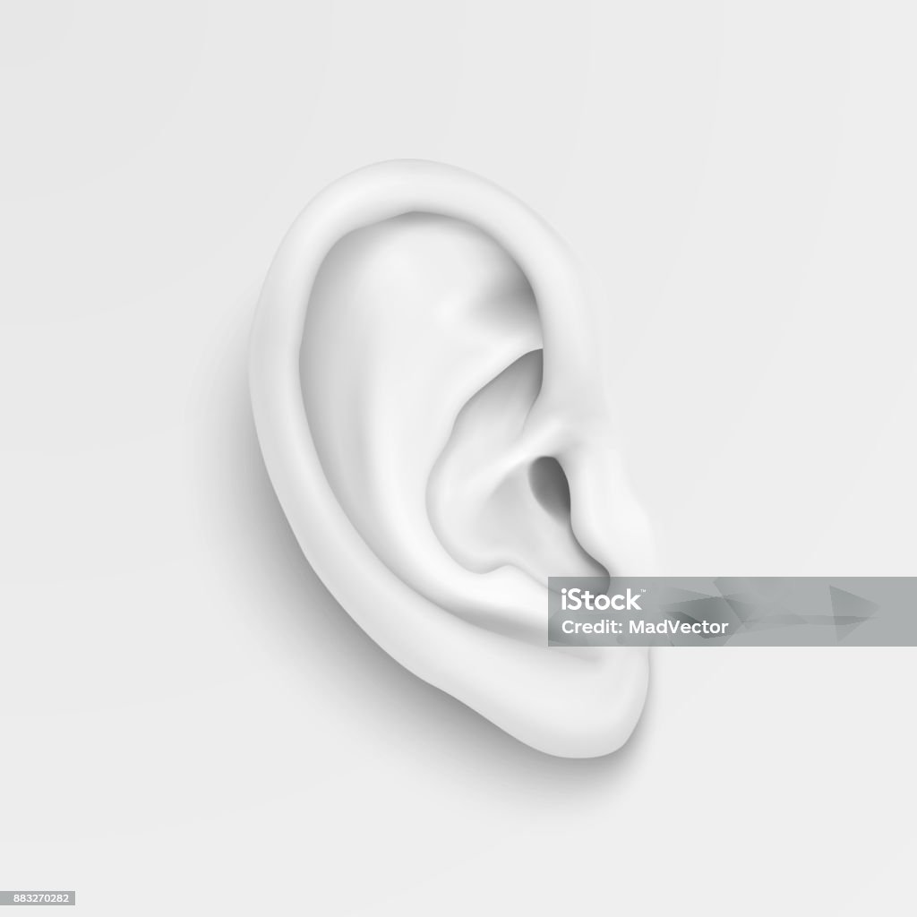 リアルな人間の耳のクローズ アップと黒と白のベクトルの背景。身体の部分、web アプリ、ポスター、インフォ グラフィックなどの人間オルガンのテンプレートをデザインします。 - 耳のロイヤリティフリーベクトルアート