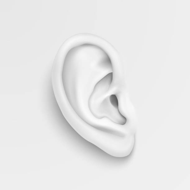 Vector black and white background with realistic human ear closeup. Design template of body part, human organ for web, app, posters, infographics etc Vector black and white background with realistic human ear closeup. Design template of body part, human organ for web, app, posters, infographics etc. human ear stock illustrations