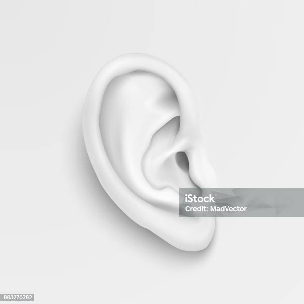 Vector Black And White Background With Realistic Human Ear Closeup Design Template Of Body Part Human Organ For Web App Posters Infographics Etc Stock Illustration - Download Image Now