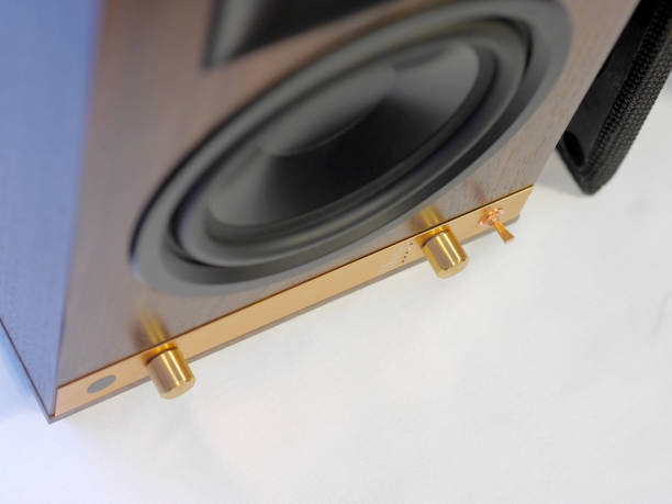 istock Hi-Fi stylish speakers. Close-up view. 883270834