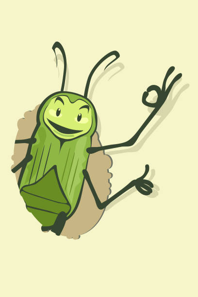 illustrations, cliparts, dessins animés et icônes de un coléoptère vert affiche du trou et montre un signe d’ok et un pouce vers le haut - grillon insecte