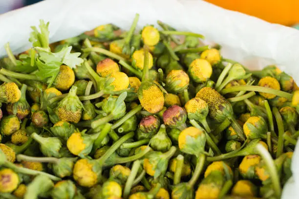 Photo of Flowers of Jambu, a typical regional herb of amazonian cuisine