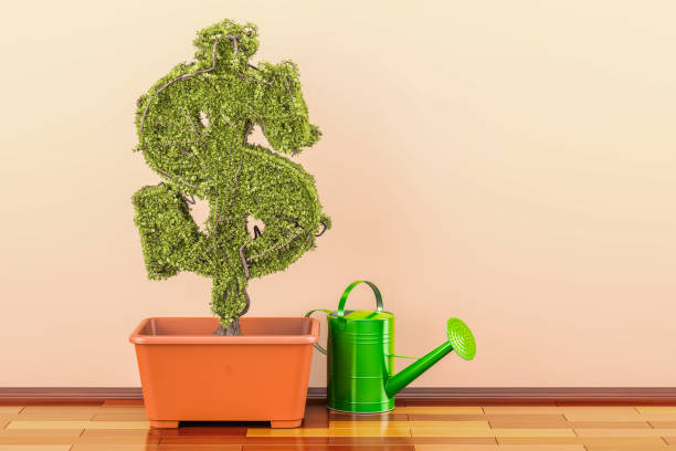 istock Dollar green symbol in flowerpot with watering can. 3D rendering 883283068