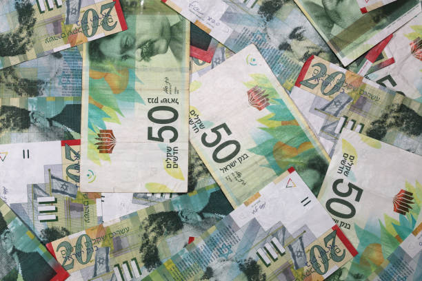 istock Israeli New Shekel Banknotes arranged as a Background 883296146