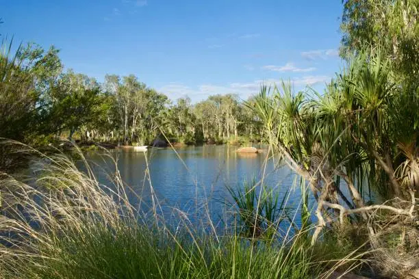 Mount Barnett roadhouse has a beautiful campsite about 5 km from the roadhouse itself. It consists of a beautiful waterhole and the Mount Barnett River flowing through.