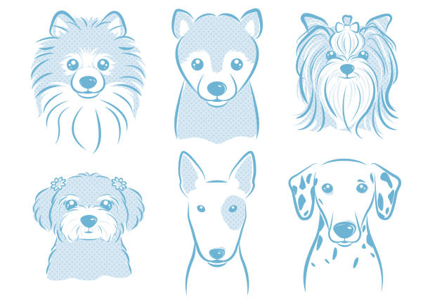 Dog illustration Dog's face illustration bull terrier stock illustrations