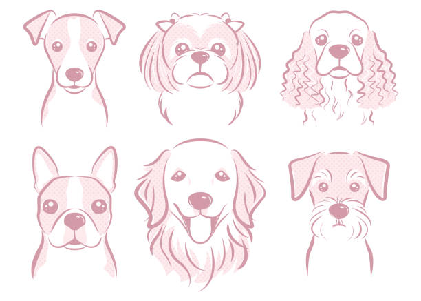 Dog illustration Dog's face illustration schnauzer stock illustrations
