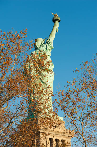 istock Statue of liberty rear view against blue sky behind trees in aut 883440100