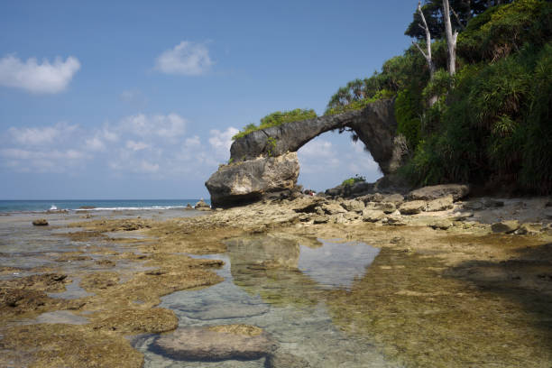 istock Natural Coral  Bridge at Neil Island at Low Tide 883462130