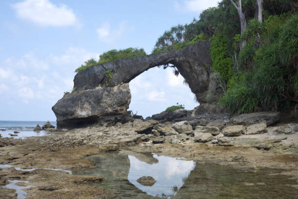 istock Natural Coral  Bridge at Neil Island at Low Tide 883462190
