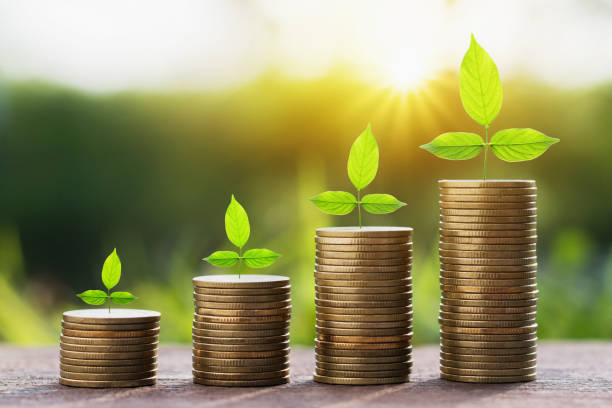istock stept growing plant with money stack. finance accounting concept 883491054