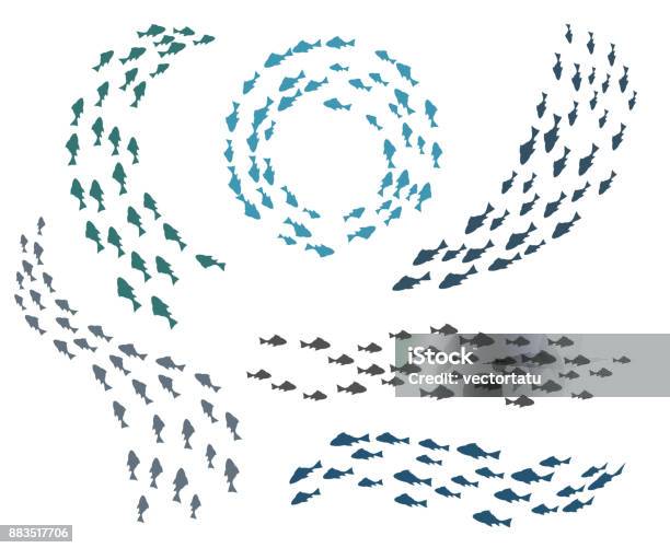 Groupes De Petits Poissons Vecteurs libres de droits et plus d'images vectorielles de Poisson - Poisson, Banc de poissons, De petite taille