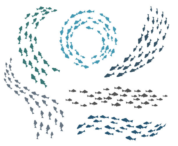 nhóm cá nhỏ - đàn cá nhóm động vật hình minh họa sẵn có