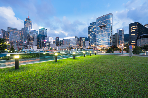 night view of Hong Kong central district with city park,China,Asia.