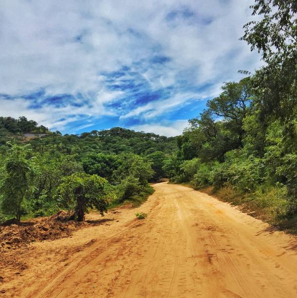 istock Rural African Dirt Road 883545962