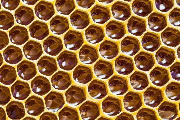 istock close-up texture of honeycomb with honey 883556450
