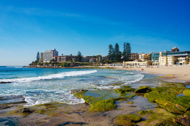 istock Beach scene with unrecognisable people relaxing on the beach 883561586
