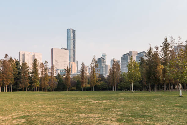 istock China Dalian city landscape 883582166