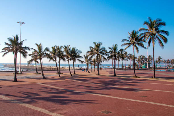 istock Palm Trees and Coastal Blue Sky Beachfront Landscape 883590746