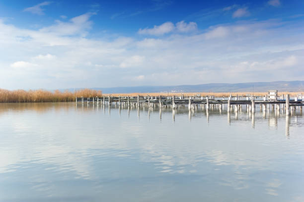 istock Lake Neusiedl 883590956