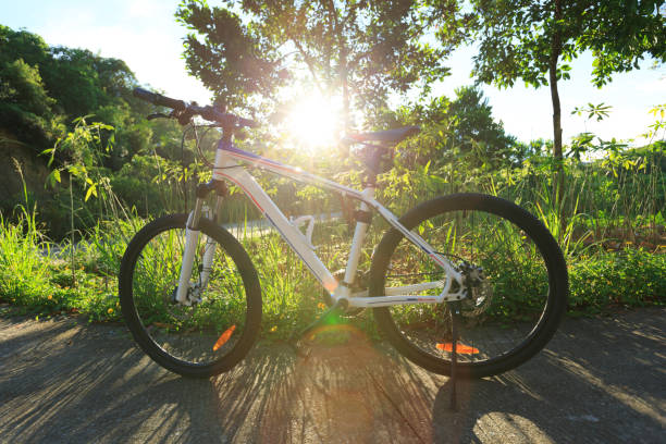 istock one mountain bike on beautiful sunrise trail 883612584