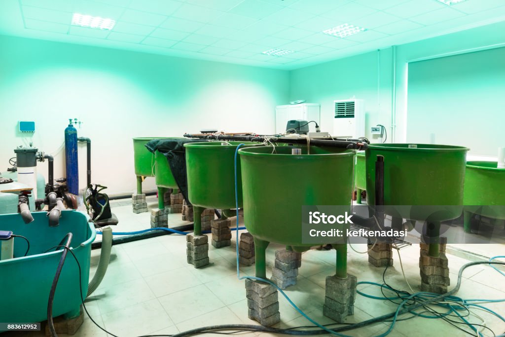 fish farm fish farm lab Storage Tank Stock Photo