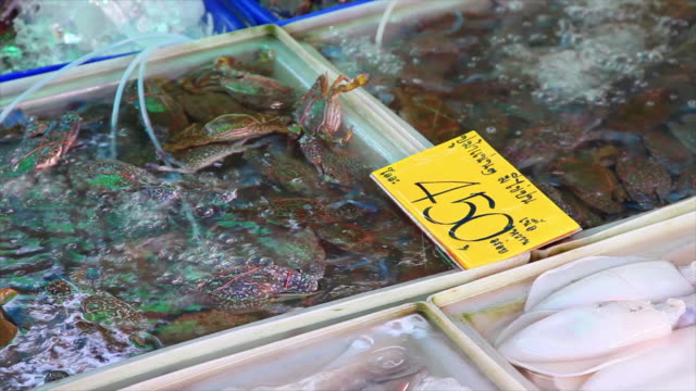 Fresh seafood in market