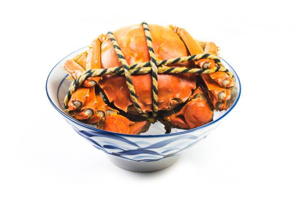 steaming shanghai hairy crabs, chinese cuisine