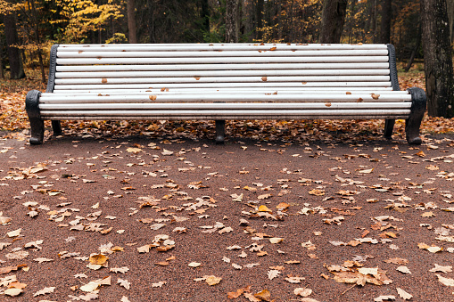 Fallen leaves lay on the lane in autumn park, empty white wooden bench on a background. Selective focus