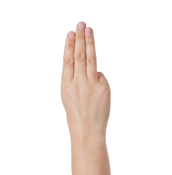 istock Backview of raised hand, three fingers extended 883684436