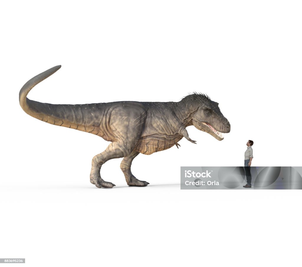 Hombre Cara A Cara Con El T Rex Blanco Sobre Fondo Blanco Foto de stock y más banco de imágenes de Dinosaurio - iStock Hombre Cara A Cara Con El T Rex Blanco Sobre Fondo Blanco Foto de stock y más banco de imágenes de Dinosaurio - iStock