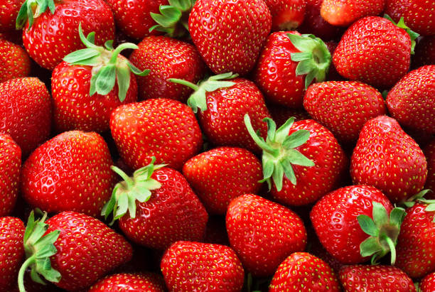 strawberry background. strawberries. - morango imagens e fotografias de stock