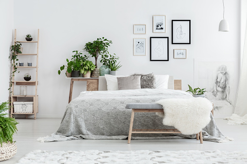 Handmade drawings in frames hanging on the wall in white bedroom with potted plants and wooden decorative ladder