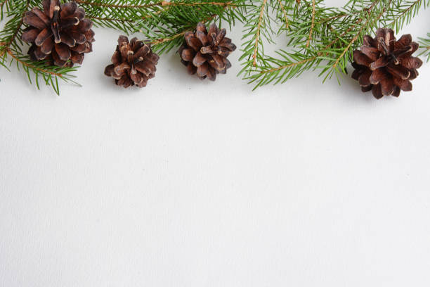 istock Christmas tree toys on a white background. Christmas decorations 883719760