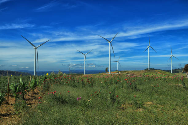 istock wind turbines on the green mountain, renewable energy source from nature 883726620